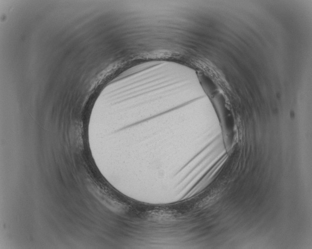 X0000078290300200611251450