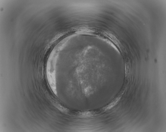 X0000078290301200611251450