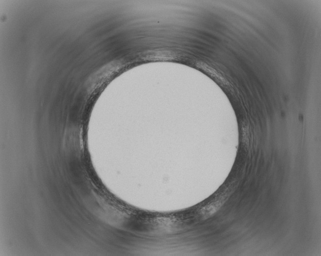 X0000078290302200611251450