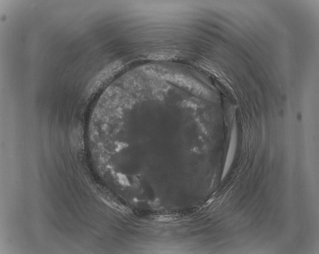 X0000078290303200611251450