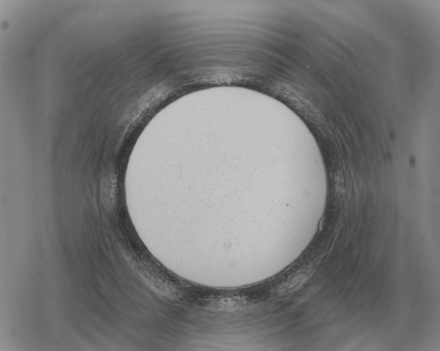 X0000078290304200611251450