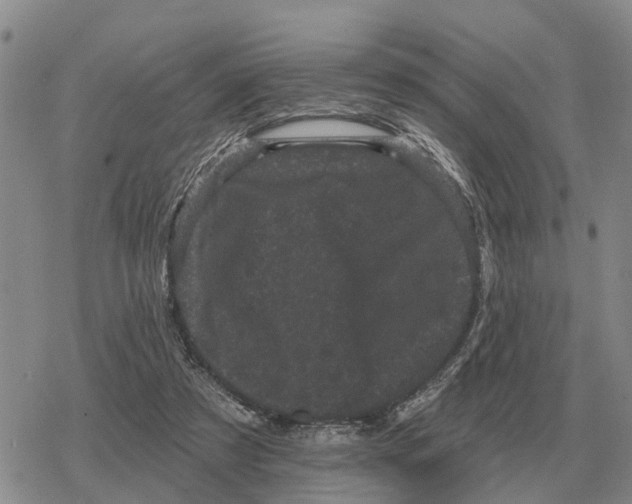 X0000078290305200611251450