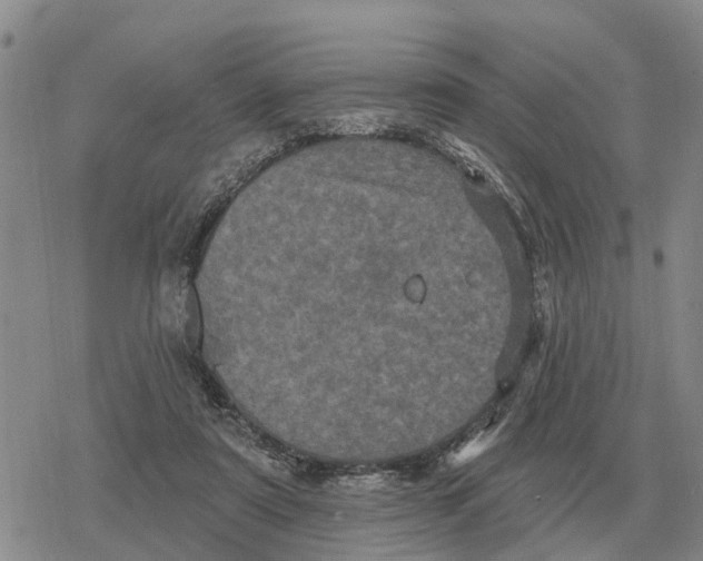 X0000078290307200611251450