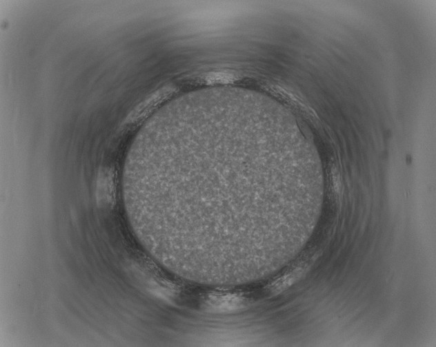 X0000078290311200611251450