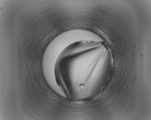 X0000078290313200611251450