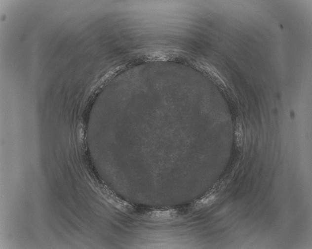 X0000078290314200611251449