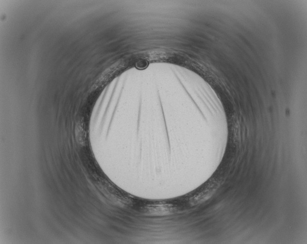 X0000078290316200611251449