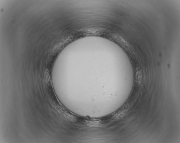 X0000078290318200611251449