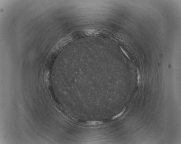 X0000078290319200611251449