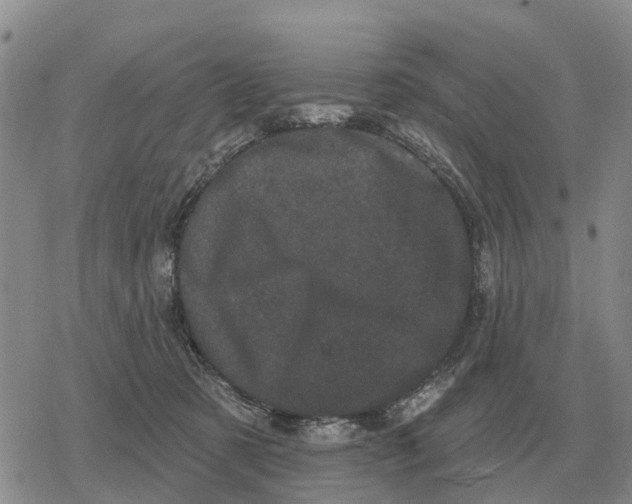 X0000078290321200611251449