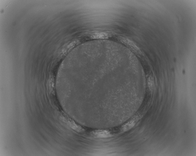 X0000078290322200611251449