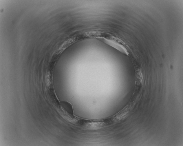 X0000078290323200611251449