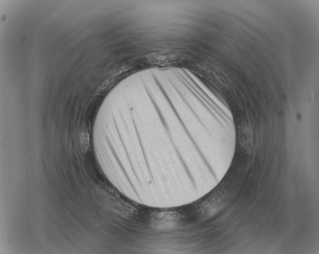 X0000078290324200611251449