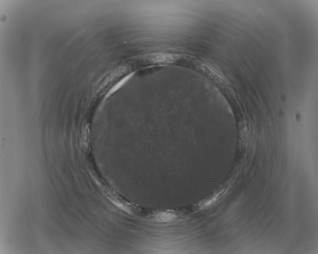 X0000078290325200611251449