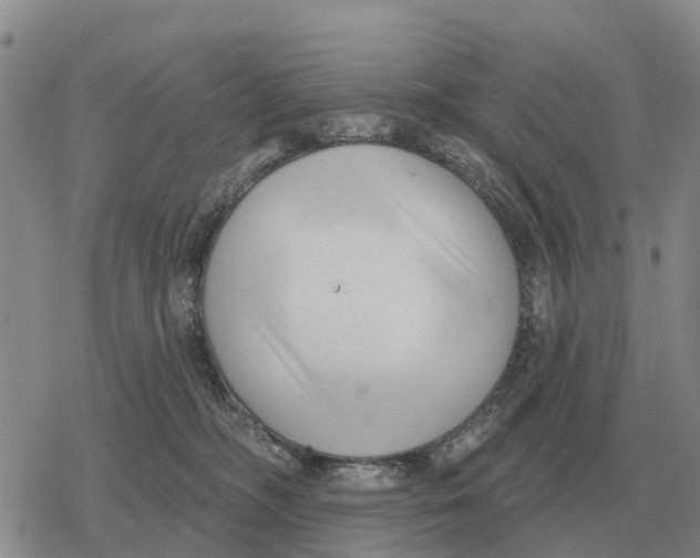 X0000078290326200611251449