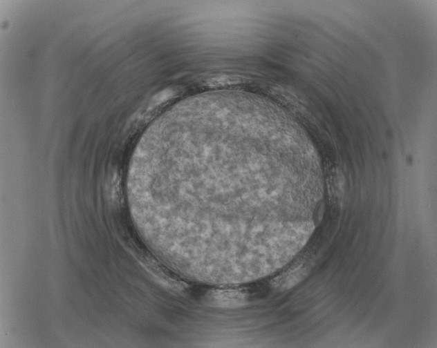 X0000078290327200611251449