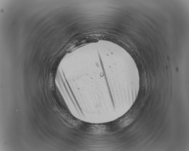 X0000078290328200611251449