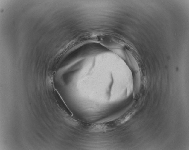 X0000078290329200611251449