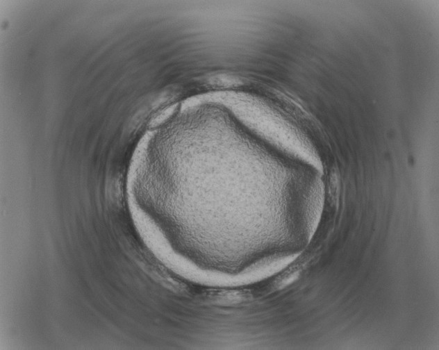 X0000078290330200611251449