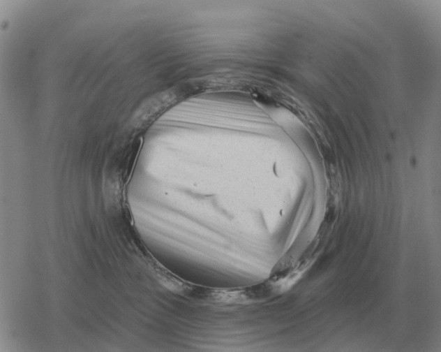 X0000078290333200611251449