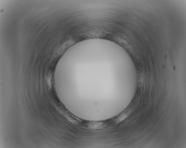 X0000078290334200611251449