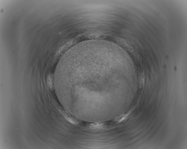 X0000078290335200611251449