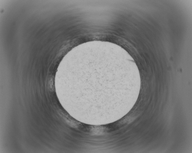 X0000078290336200611251449