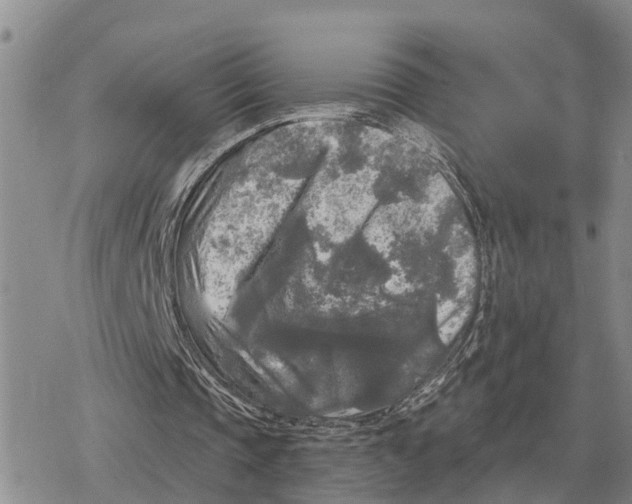 X0000078290337200611251448