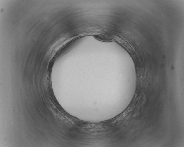 X0000078290338200611251448