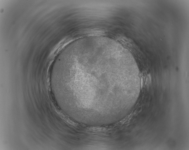 X0000078290339200611251448