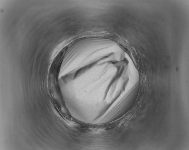 X0000078290340200611251448