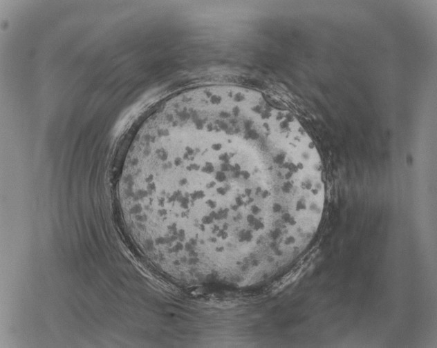 X0000078290341200611251448