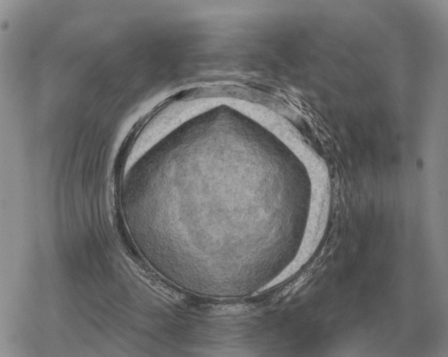 X0000078290342200611251448