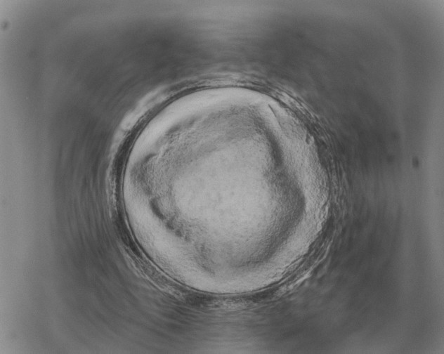 X0000078290343200611251448