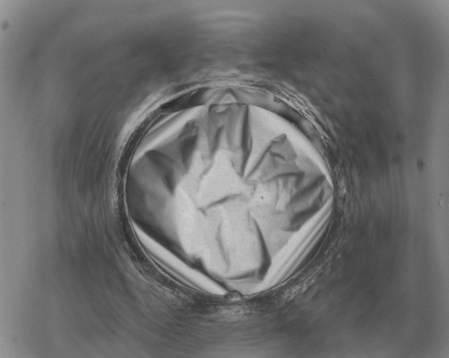 X0000078290344200611251448