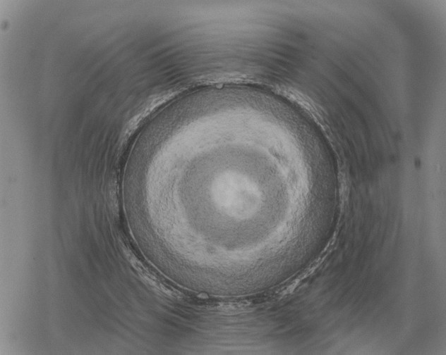 X0000078290345200611251448