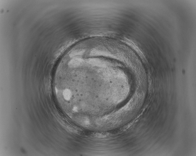 X0000078290346200611251449