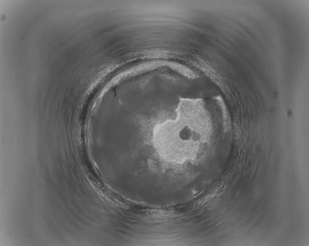 X0000078290347200611251449