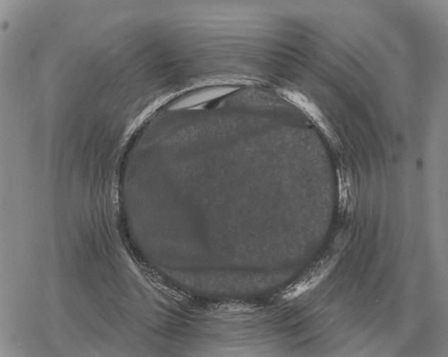 X0000078290348200611251449