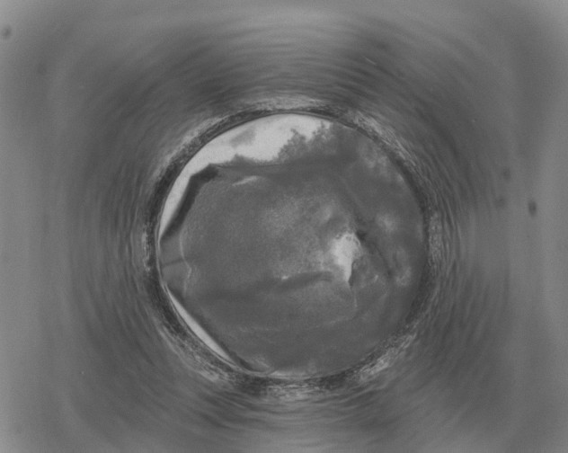 X0000078290351200611251449