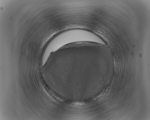 X0000078290352200611251449