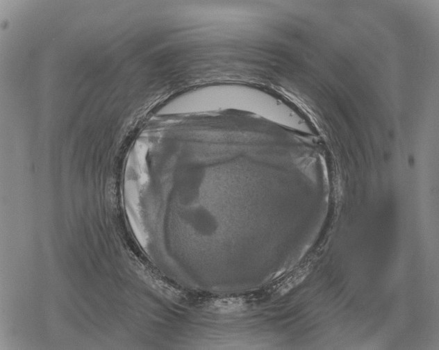 X0000078290353200611251449