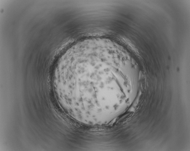 X0000078290354200611251449