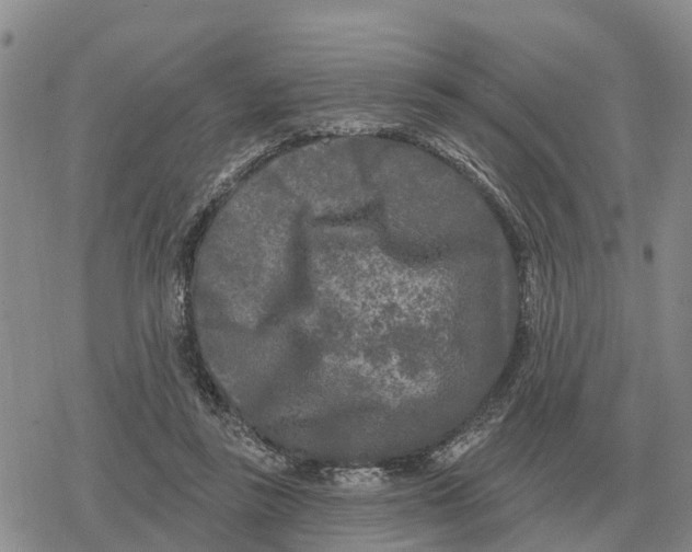 X0000078290355200611251449