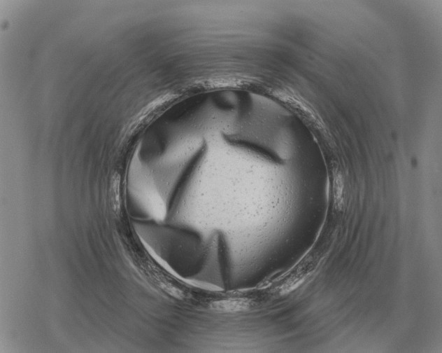 X0000078290356200611251449