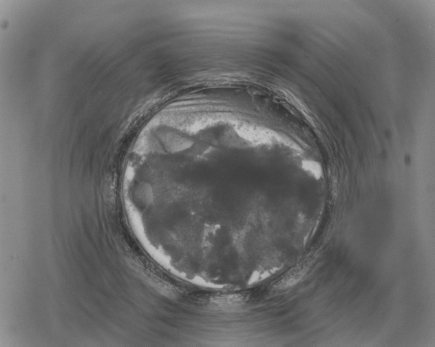 X0000078290357200611251449