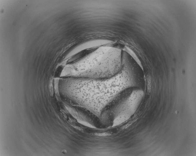 X0000078290360200611251449