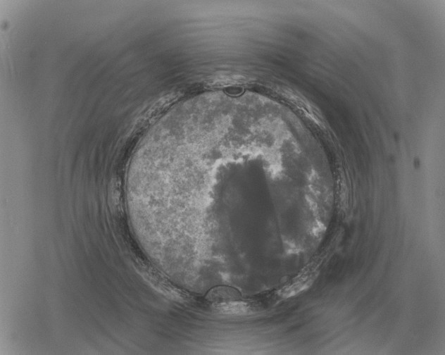 X0000078290361200611251449