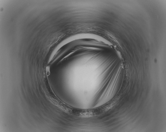 X0000078290362200611251449