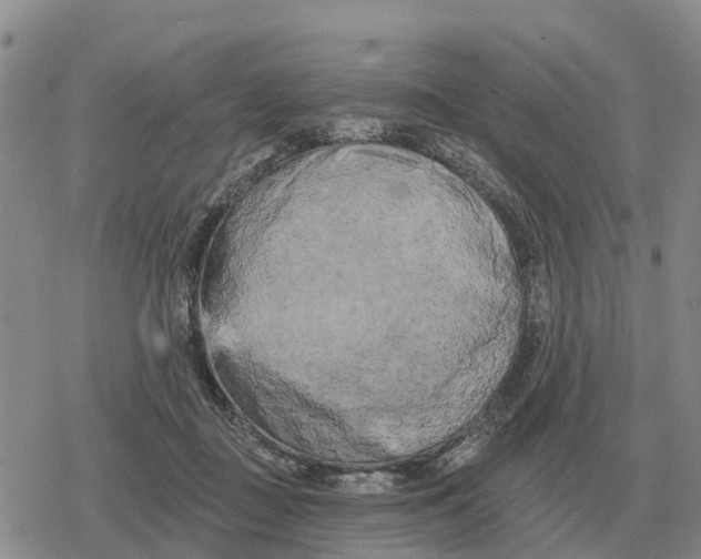 X0000078290363200611251449